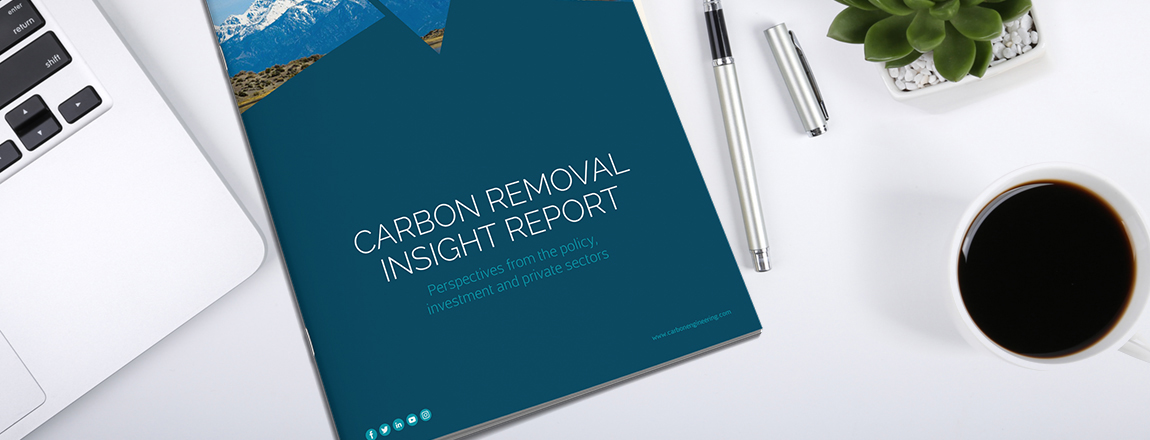 Carbon Removal Insight Report: Policy, Investment and Private Sector Perspectives